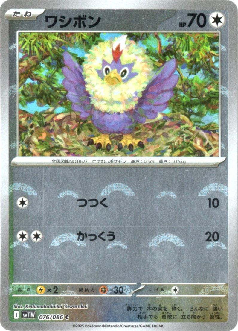 拡張パック,ホワイトフレア | ポケットゾーン