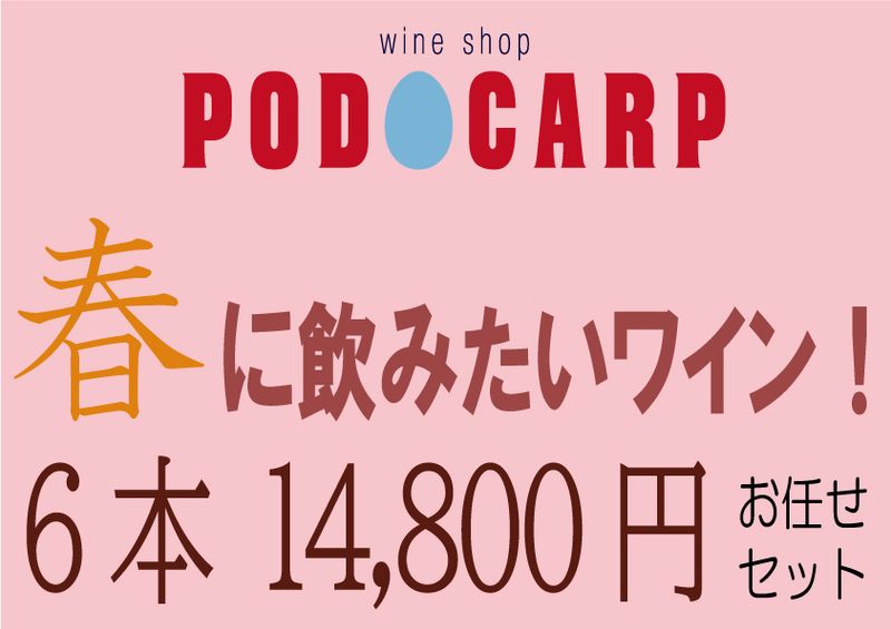 PODOCARP Ź��ˤ�Ǥ�����ղƤ˰��ߤ����磻�󡪡�6��14,800�ߡ�
