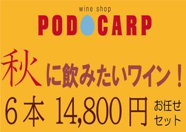 PODOCARP ŹˤǤߤ˰ߤ磻󡪡614,800ߡ