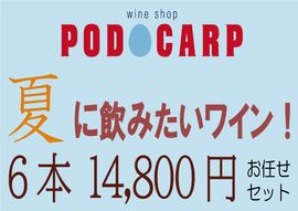 PODOCARP ŹˤǤղƤ˰ߤ磻󡪡614,800ߡ