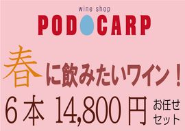 PODOCARP Ź��ˤ�Ǥ�����ղƤ˰��ߤ����磻�󡪡�6��14,800�ߡ�