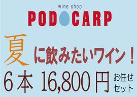PODOCARP Ź��ˤ�Ǥ�����Ƥ˰��ߤ����磻�󡪡�6��16,800�ߡ�