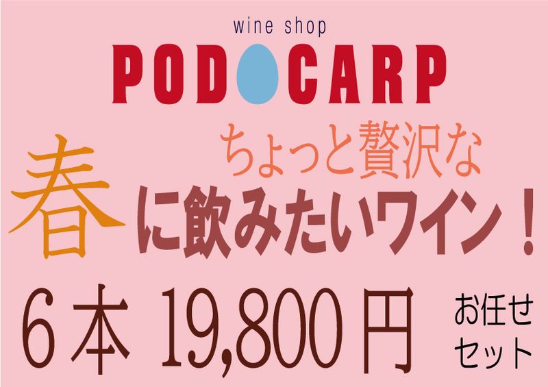 ������̵����PODOCARP Ź��ˤ�Ǥ�����ղƤ˰��ߤ����Ȥ���ä������ʡɥ磻�󡪡�6��19,800�ߡۤ�Ǥ�����å�