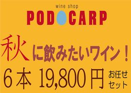 ̵PODOCARP ŹˤǤߤ˰ߤȤäʡɥ磻󡪡619,800ߡۤǤå