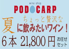 ������̵����PODOCARP Ź��ˤ�Ǥ�����Ƥ˰��ߤ����Ȥ���ä������ʡɥ磻�󡪡�6��21,800�ߡۤ�Ǥ�����å�