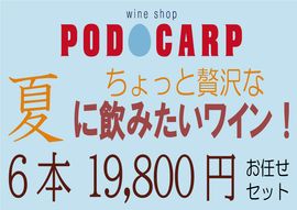 ̵PODOCARP ŹˤǤղƤ˰ߤȤäʡɥ磻󡪡619,800ߡۤǤå