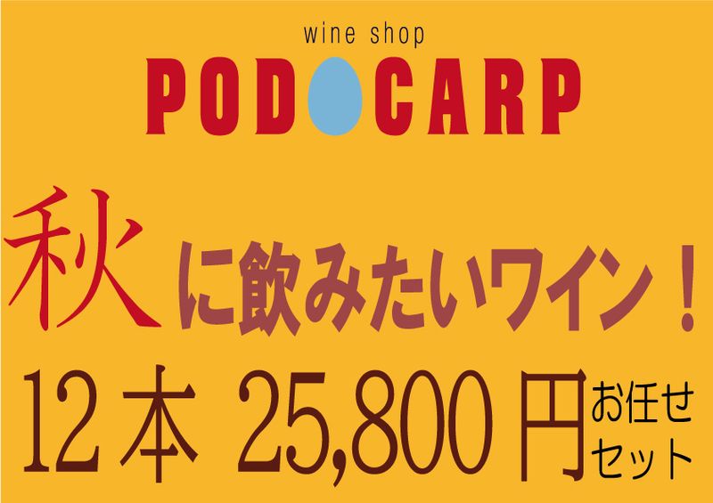 ̵ PODOCARP ŹˤǤߤˡȤɰߤ磻󡪡1225,800ߡۤǤå