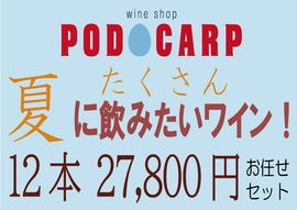 ������̵���� PODOCARP Ź��ˤ�Ǥ�����ƤˡȤ�������ɰ��ߤ����磻�󡪡�12��27,800�ߡۤ�Ǥ�����å�