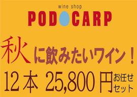 ̵ PODOCARP ŹˤǤߤˡȤɰߤ磻󡪡1225,800ߡۤǤå