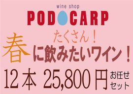 ������̵���� PODOCARP Ź��ˤ�Ǥ�����ղƤˡȤ�������ɰ��ߤ����磻�󡪡�12��25,800�ߡۤ�Ǥ�����å�