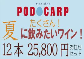 ̵ PODOCARP ŹˤǤղƤˡȤɰߤ磻󡪡1225,800ߡۤǤå