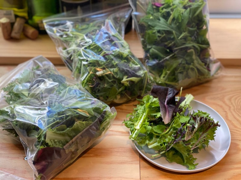 8/31ʿ˽вٳϡ۳ë / ٥ӡ꡼mix 120g Ĵ̣