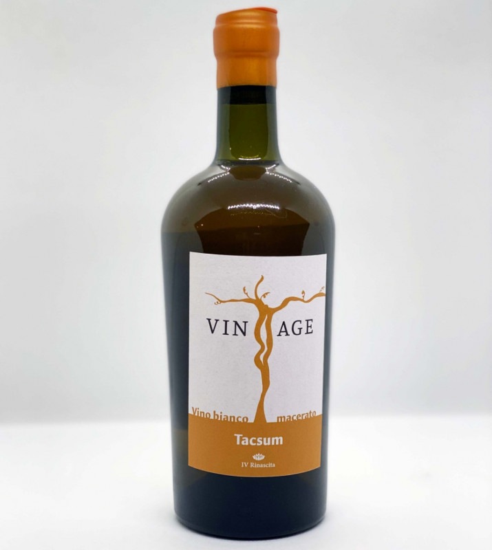 VinTage / Tacsum 2019  �����󥿡����塿�������� �����