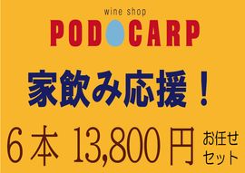 ���Ȱ��߱��硪�� PODOCARP Ź�礬���� ������磻���6�� 13,800�ߥ��åȡ�