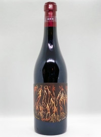 Panevino / Storm Venti Venti 2020  ѡͥΡȡ ƥ ƥ 