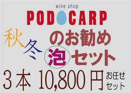 PODOCARP ŹˤǤ ˢåȡ310,800ߡ