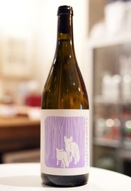 2 Natur Kinder / VATER & SOHN 2022  ĥ ʥȥ ե    