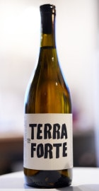 Tanca Nica / TERRA FORTE 2023  󥫥˥ƥå ե 