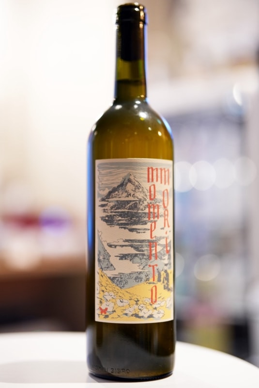 Momento Mori / STARING AT THE SUN 2022  ����ȥ�꡿���ƥ���󥰥��åȥ����� �����