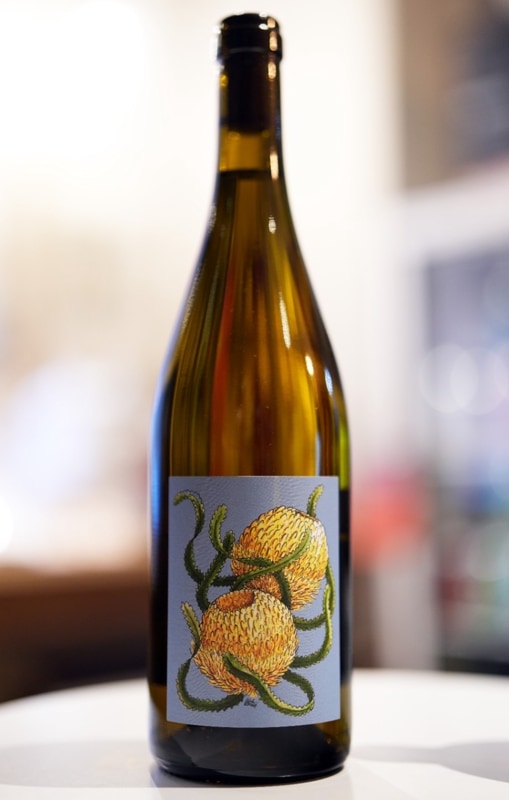 Borachio / Chardonnay 2022  �ܥ顼�����������ɥ� ��