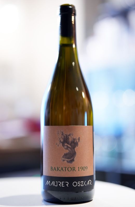 Maurer Oszkar / Bakator 1909 2022  ޥ 롿Хȡ 