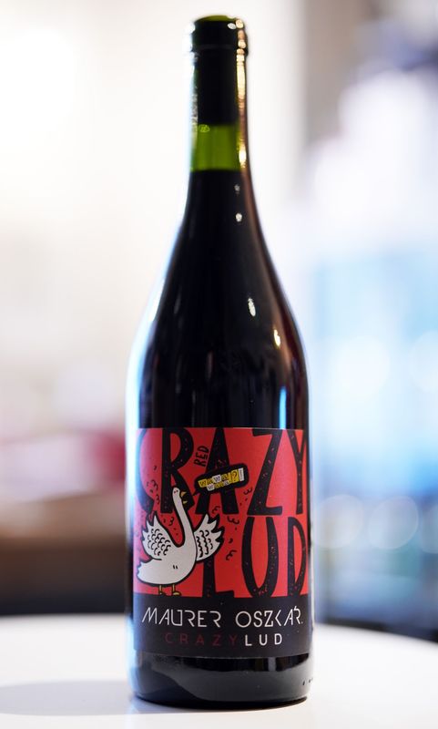 Maurer Oszkar / Crazy Lud Red 2022  ޥ 롿쥤 å å  