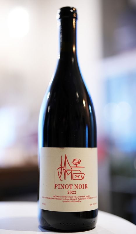 Strekov / Pinot Noir 2022  ȥ쥳աԥΥΥ  