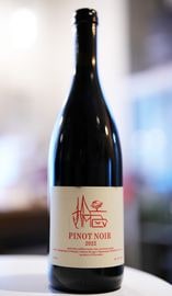 Strekov / Pinot Noir 2022  ȥ쥳աԥΥΥ  