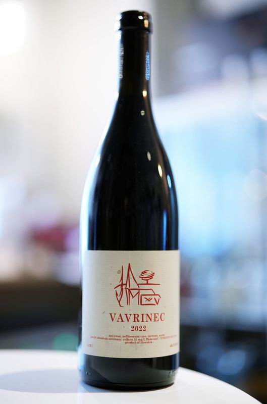 Strekov / Vavrinec 2022  ȥ쥳աͥå  