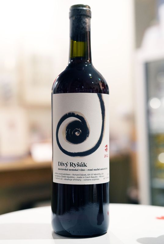 Richard Stavek / Divy Rysak 2022  㡼 åǥ ꥷå 