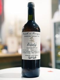 Richard Stavek / Vesely Orange 2020  㡼 å꡼ 