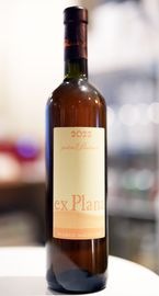 Podere Pradarolo / EX PLANA Bianco Macerato 2022  ݥǡ ץ ץ ӥ ޥ顼  