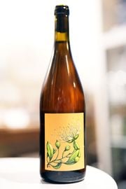 Borachio / Resistance is Futile 2022  �ܥ顼�������쥸������ ���� �ե塼������  �����