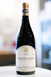 Chevigny Rousseau / Bourgogne Pinot Noir 2023  ��������ˡ� �륽�����֥르���˥� �ԥΥΥ��  ��