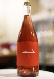 GRAPE SHIP / �� 2025  ���쥤�� ���åס����塡ˢ����