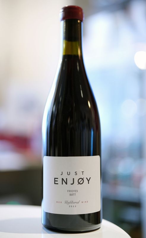 Bott Frigyes / Just enjoy Red 2023  �ܥå� �եꥸ�������㥹�� ���󥸥祤 ��åɡ���