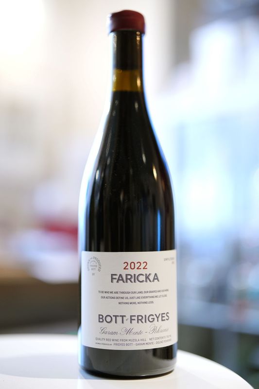 Bott Frigyes / Faricka Frankovka Modra 2022  �ܥå� �եꥸ�����ե���å� �ե�󥳥ե� ��ɥ顡��