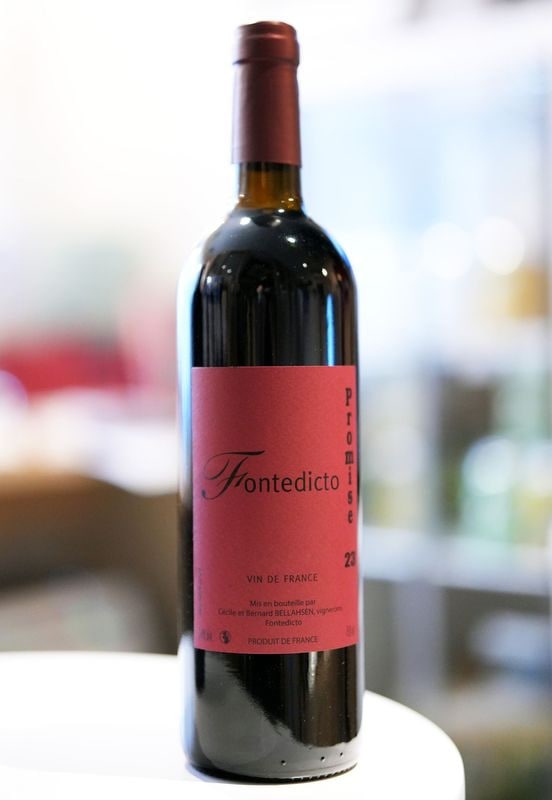 Fontedicto / Promise 2023���ե���ȥǥ����ȡ��ץ��ߥ�����