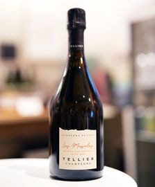 Tellier / NV(22) Les Massales Extra Brut���ƥꥨ���� �ޥå��� �������ȥ� �֥��åȡ�ˢ(��)