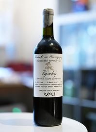 Richard Stavek / Vysoky 2021������㡼�� ���������å�����������������