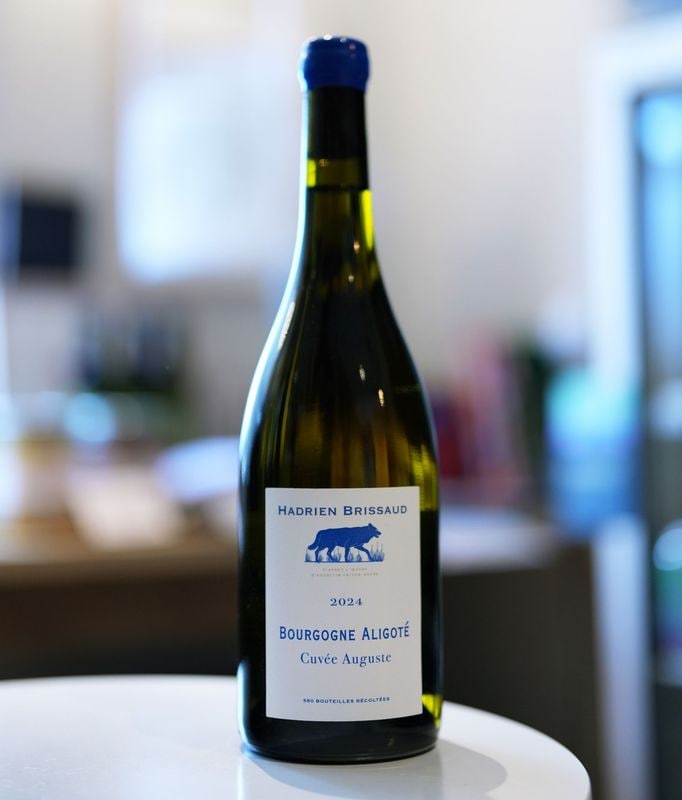 Hadrien Brissaud / Aligote Cuvee Auguste 2024�����ɥꥢ�� �֥꥽�������ꥴ�� ������� �������她�ȡ���