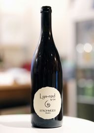 Franz Strohmeier / Lyserod 2023���ե��� ����ȥ��ޥ��䡼����塼�����åɡ�����