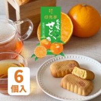 ベビー母恵夢「愛媛のせとか」 6個入袋