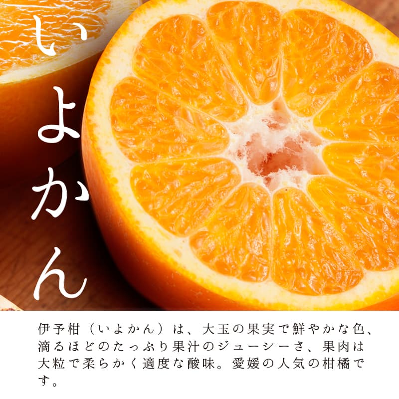 瀬戸内ブリュレフィユ 伊予柑キャラメル 8個入