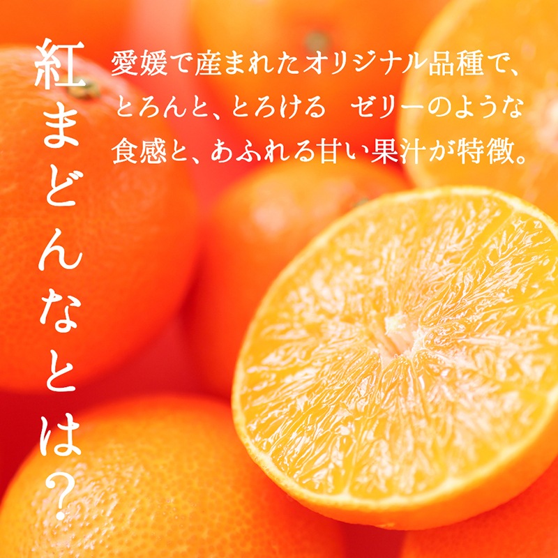 ベビー母恵夢「愛媛の紅まどんな」 6個入袋