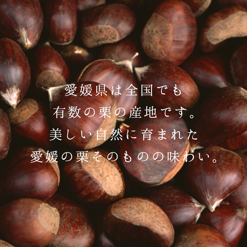 ベビー母恵夢「愛媛の純栗」 5個入袋