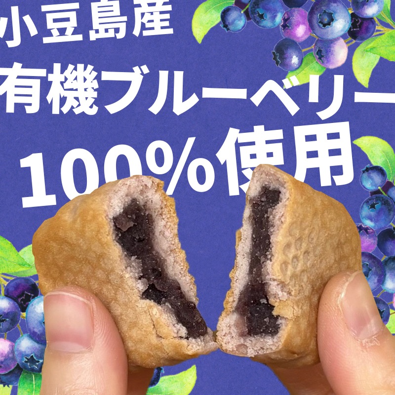 ベビー母恵夢「小豆島ブルーベリー」 6個入袋 | 母恵夢（ポエム