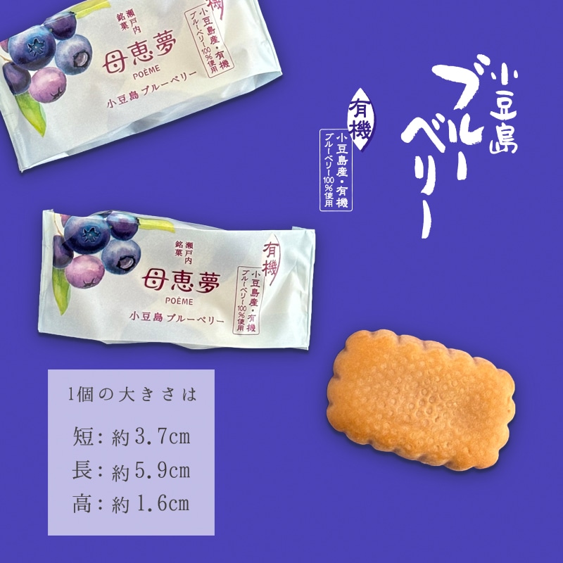ベビー母恵夢「小豆島ブルーベリー」 6個入袋 | 母恵夢（ポエム