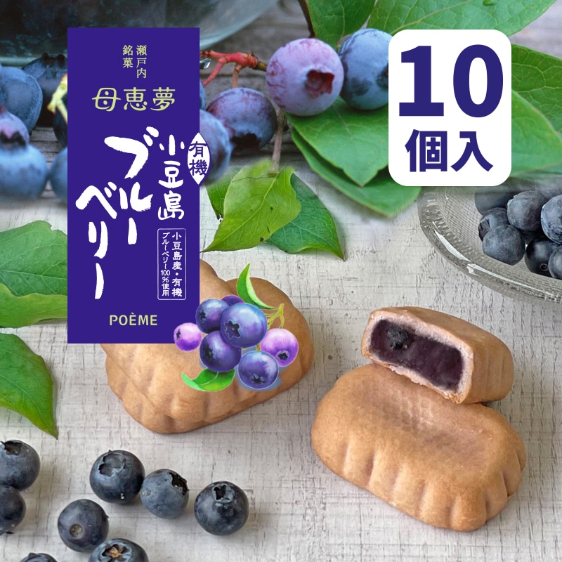 ベビー母恵夢「小豆島ブルーベリー」10個入箱