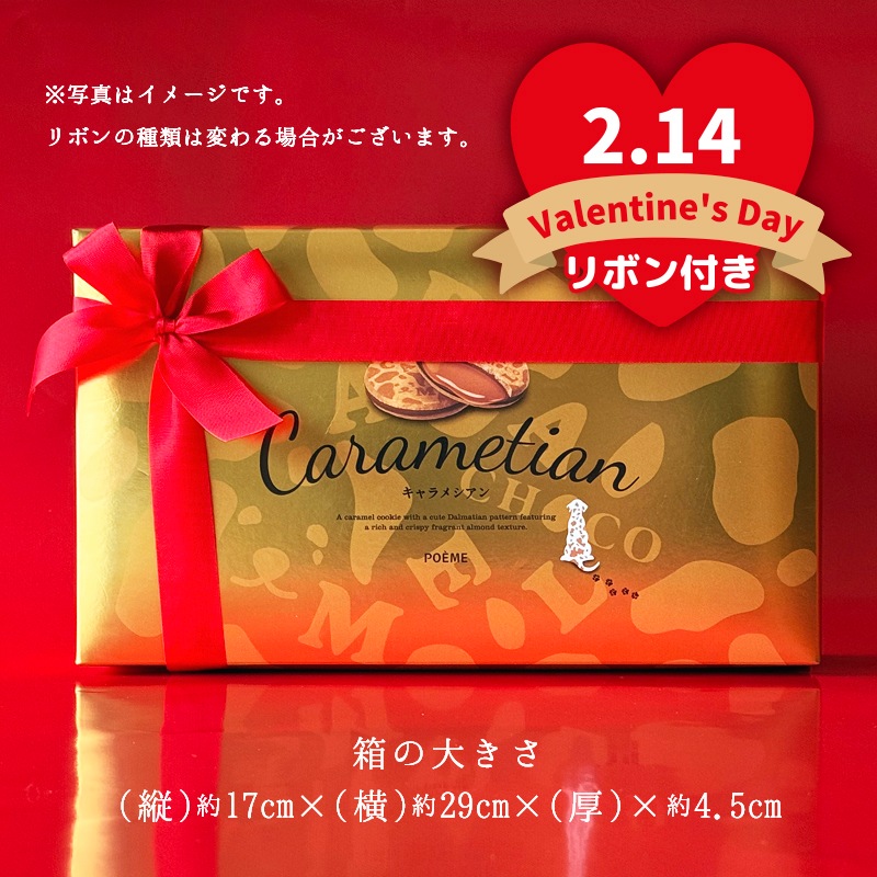 バレンタイン 2026 Carametian（キャラメシアン） 12個入